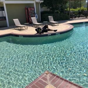 Meet your Posher, Darell